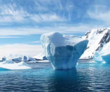Un olivier sur un iceberg